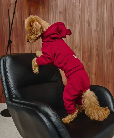 Костюм Dogs Bomba з кишенею марсала