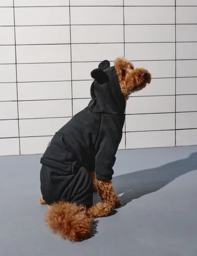 Костюм Dogs Bomba з кишенею чорний