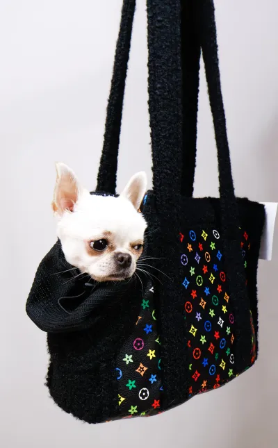 Сумка LV