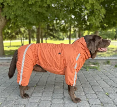 Дощовик Спорт на флісі помаранчевий