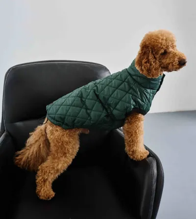 Жилет стежка Dogs Bomba смарагд