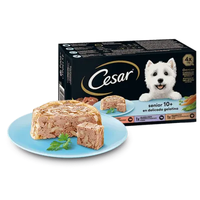 Консерви для собак CESAR Паштет "Senior 10+ для старых собак в желе" с індичкою та рисом 150г
