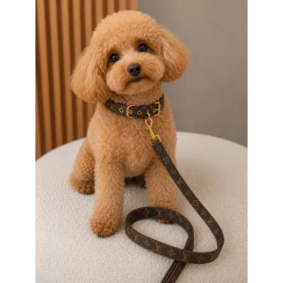 Ошийник і поводок для собак LOUIS VUITTON еко шкіра, розмальовка з квітами, коричневий