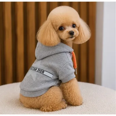 Худі для собак і котів Christian Dior Star Grey