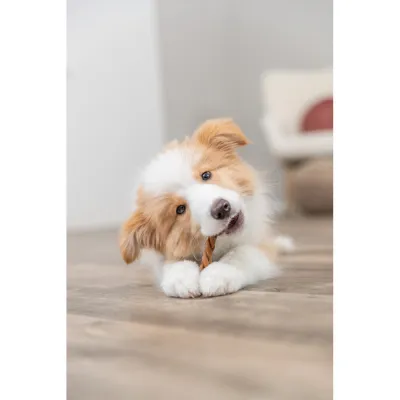 Лакомство Trixie Chewing Braid для собак, косичка с бычьим пенисом и курицей 25 см 50 шт/уп