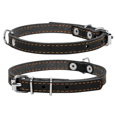 Ошейник "CoLLaR" одинарный черный