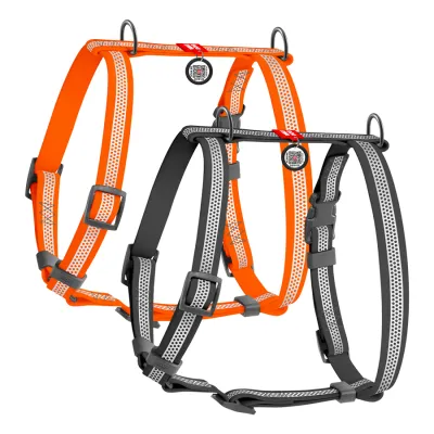 Шлея для собак водостойкая анатомическая H-образная WAUDOG Waterproof с QR-паспортом, светоотражающая, пластиковая пряжка-фастекс, серый