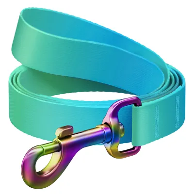Поводок для собак из нейлона WAUDOG Nylon Recycled, градиент, Д 122 см голубой