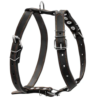 Шлея "CoLLaR" одинарна для середніх собак (ширина 25мм, А:49-68см, В:68-80см) чорний