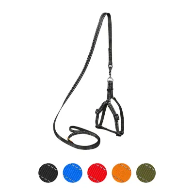 Шлея Dog Extreme, нейлонова, з повідцем, Ш 10 мм, В 28-40 см, чорний