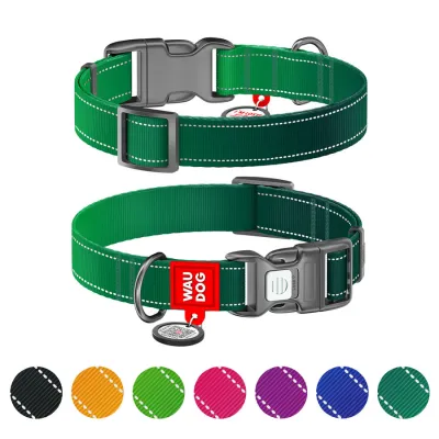 Ошейник для собак нейлоновый WAUDOG Nylon Mono, светоотражающий, пластиковый фастекс, зеленый