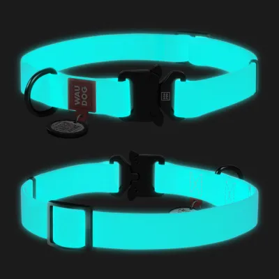 Ошейник для собак водостойкий WAUDOG Waterproof с QR-паспортом, светоаккумулирующий, металлическая пряжка-фастекс