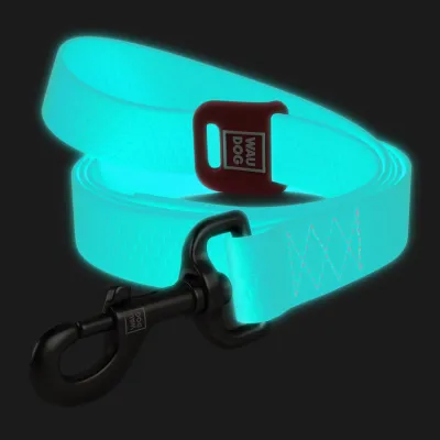 Поводок для собак водостойкий WAUDOG Waterproof, светоаккумулирующий