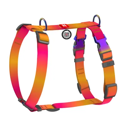 Шлея для собак анатомическая H-образная WAUDOG Nylon Recycled с QR-паспортом, градиент, Ш 25 мм, А 50-90, В 65-95 оранжевый