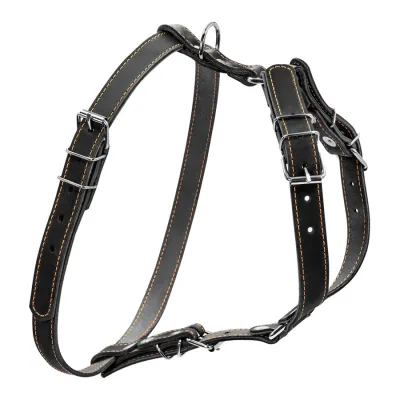 Шлея «CoLLaR» одинарная для малых и средних собак, 20мм, А:40-56см, В:57-65см, черный