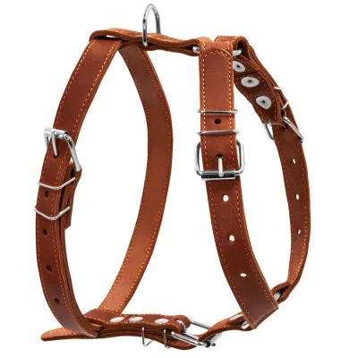Шлея одинарная для средних собак CoLLaR