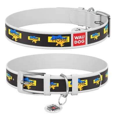 Ошейник кожаный WAUDOG Design