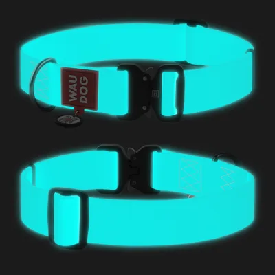 Нашийник для собак водостійкий WAUDOG Waterproof з QR-паспортом, світиться в темряві, металева пряжка-фастекс, Ш 40 мм, Д 46-70 см