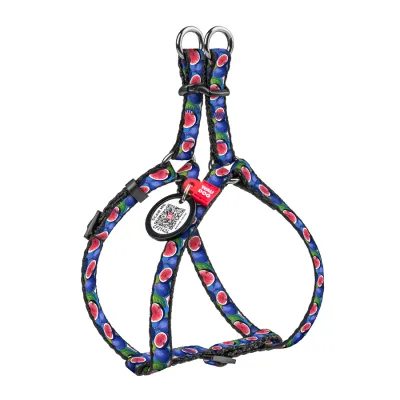 Шлея для кошек и мелких пород собак WAUDOG Nylon