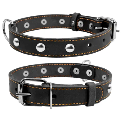 Нашийник одинарний CoLLaR з прикрасами чорний
