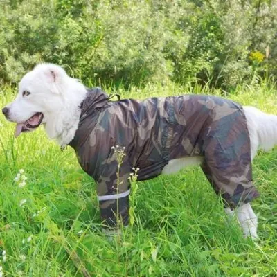 Дощовик камуфляж