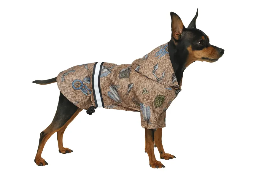 Куртка для собак DIEGO jacket медвежонок — фото 1