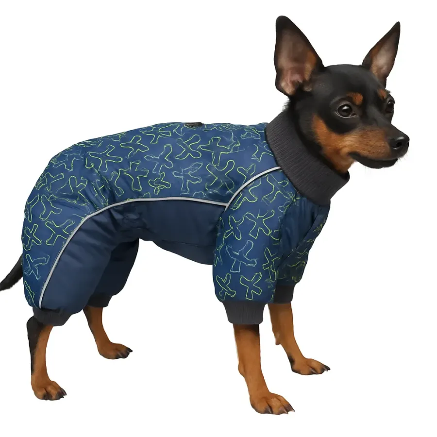 Комбінезон для собак DIEGO mini snow zip для хлопчиків літаки — фото 1