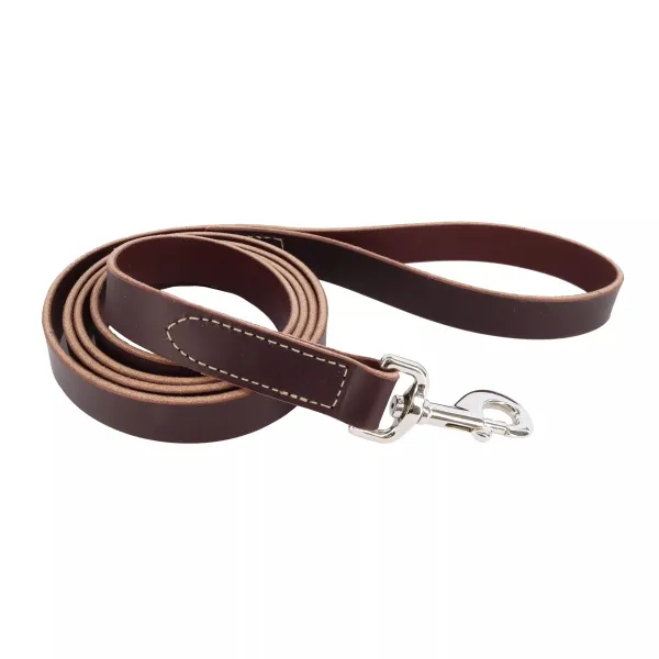 Поводок для собак кожаный Coastal Circle-T Dog Leash 2.5смХ1.8м — фото 1