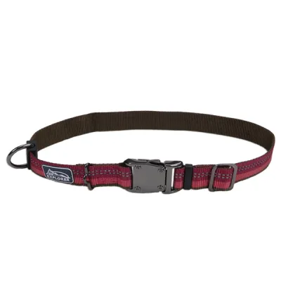 Светоотражающий ошейник Coastal K9 Explorer Collar 2.5х30-46см