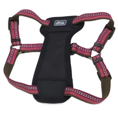 Шлея светоотражающая Coastal K9 Explorer Harness 2.3-4.5 кг