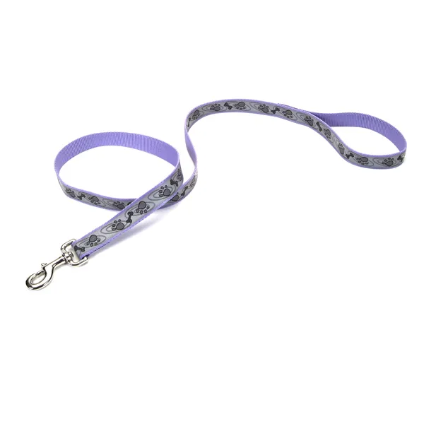 Coastal Lazer Brite Reflective Leash КОСТАЛ ЛАЗЕР БРАЙТ світловідбивний повідець для собак, 1.6смХ1.2м — фото 1