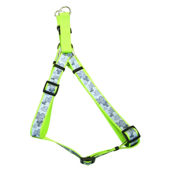 Coastal Lazer Brite КОСТАЛ ЛАЗЕР БРАЙТ світловідбивна шлея для собак, 1.6х48-66см — фото 1