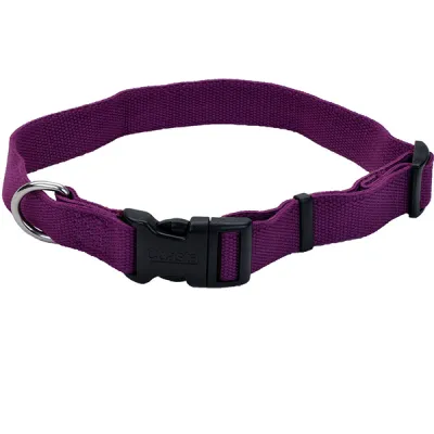 Нашийник для собак Coastal New Earth Soy Dog Collar