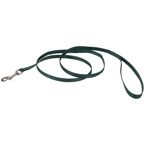 Coastal Nylon Leash КОСТАЛ НАЙЛОН повідець для собак, 1смХ1.2м — фото 1