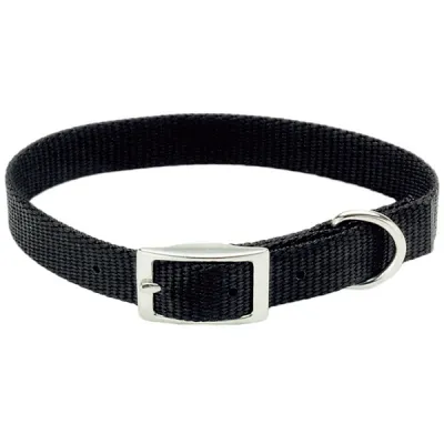 Нашийник для собак Coastal Nylon Web КОСТАЛ, 1х25см