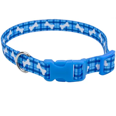 Нашийник для собак Coastal Pet Attire Styles КОСТАЛ СТАЙЛС, 2.5х46-66см