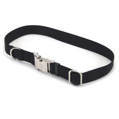 Ошейник для собак Coastal Titan Buckle, 1.9х36-51см