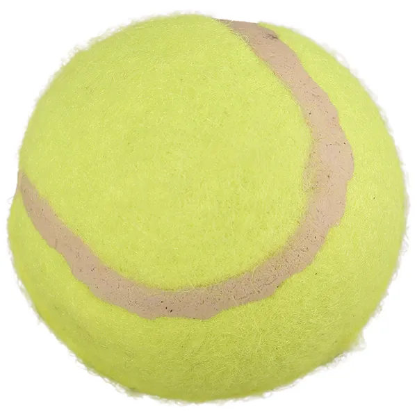 Мяч теннисный Flamingo Smash Tennis Ball — фото 1