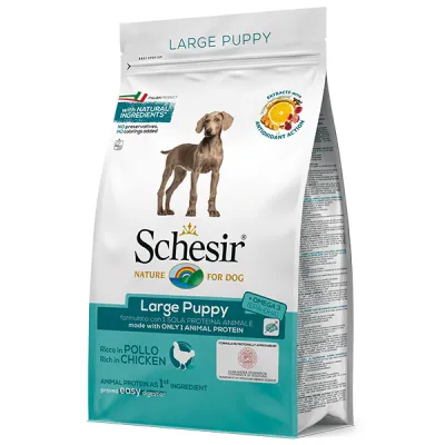 Сухой корм для щенков крупных пород Chicken Schesir Dog Large Puppy