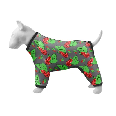 Ветровка для собак WAUDOG Clothes, рисунок "Калина"