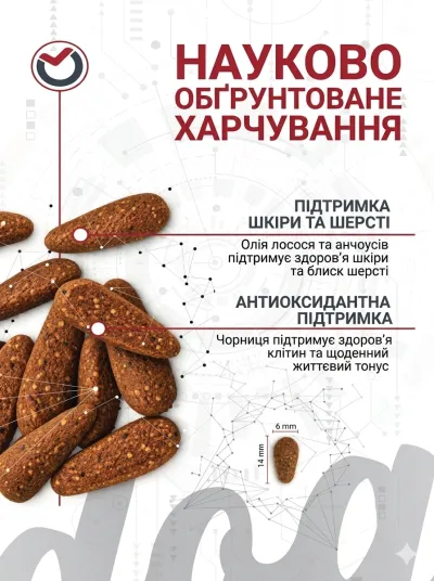 Сухой корм для собак ProScience Adult Dog Salmon & Blueberry