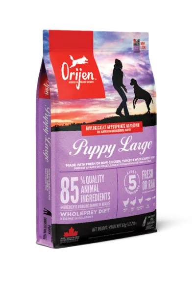 Сухий корм для собак ORIJEN Puppy Large Breed
