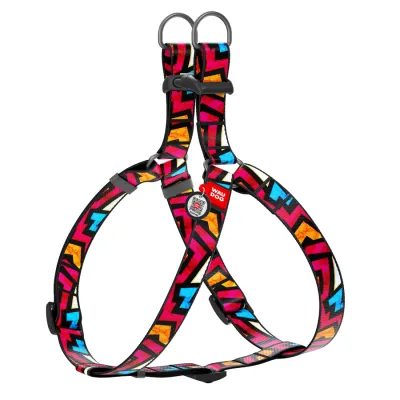 Шлея WAUDOG Nylon, Граффити, QR-паспорт, 25 мм
